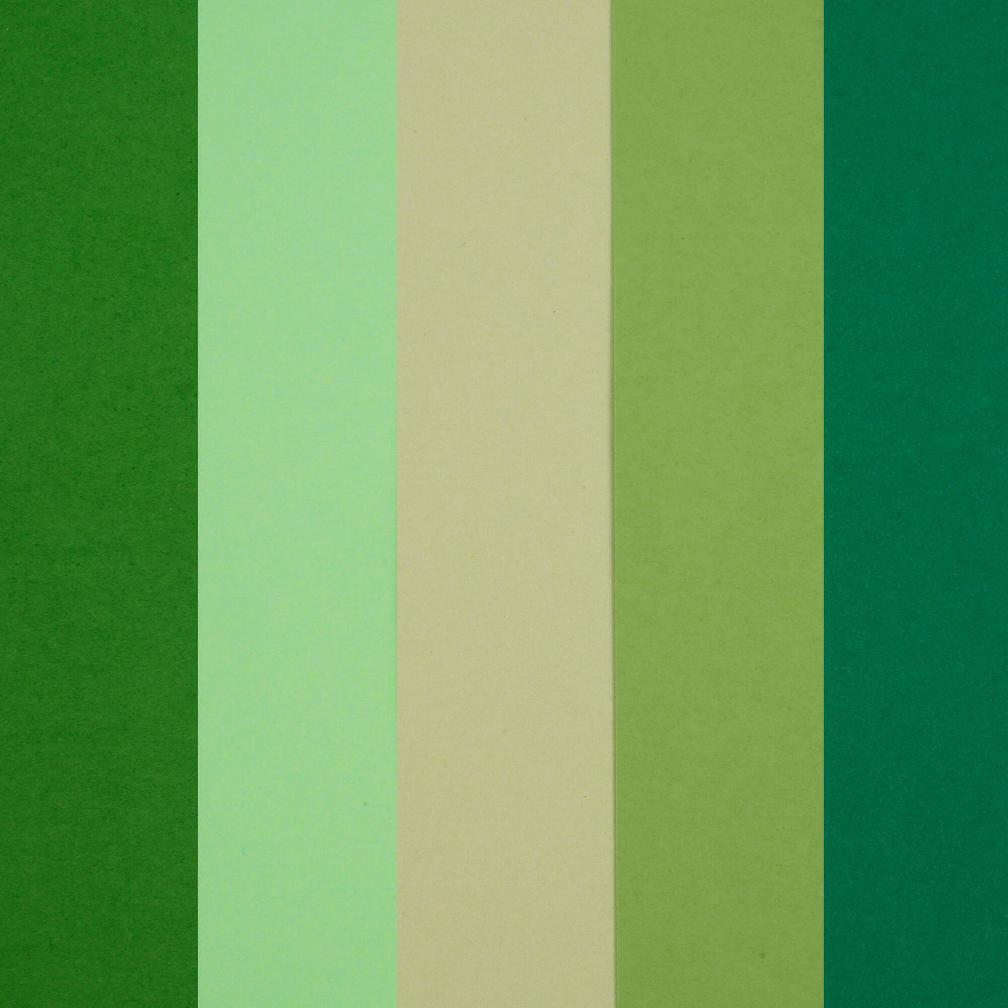 12 Pack: Forest Cardstock Paper Pad by Recollections™, 8.5" x 11"